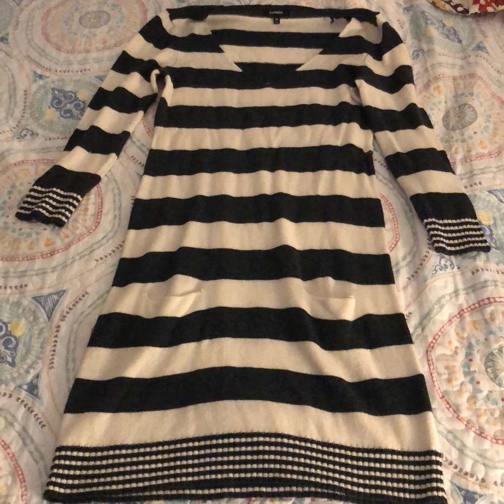 Express Sweater Dress